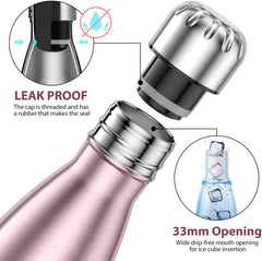 17oz Stainless Steel Water Bottle